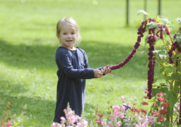 H&uuml;bsche Kleidung f&uuml;r Kinder
